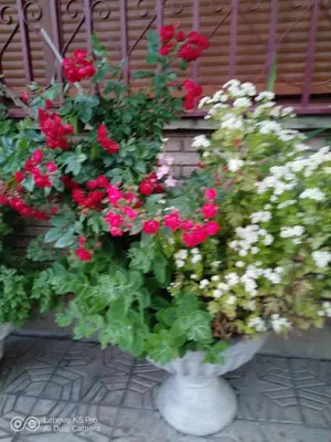 Jardín al aire libre en Casa Rural La Cucurrumacha