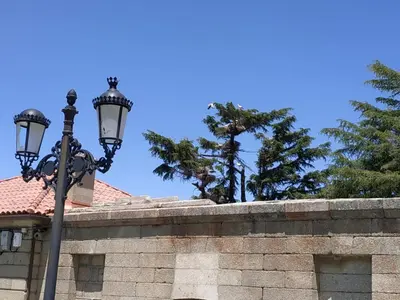 Plano de Casa Rural El Zapatero de Sexifirmo