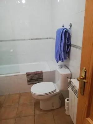 Un baño de Casa Rural el Picozo