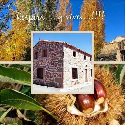 Edificio en el que se encuentra the country house