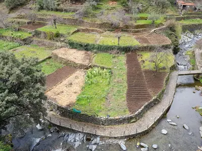 Jardín al aire libre en Camino del Morisco