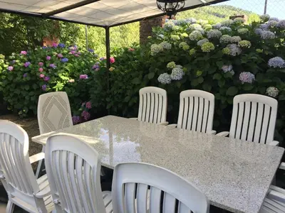 Jardín al aire libre en Casa Camino Real