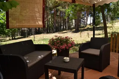 Jardín al aire libre en Hospedium Hostal Almanzor