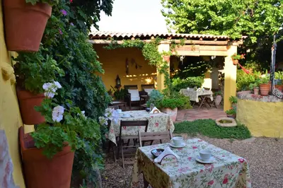Jardín al aire libre en Hotel Casa Rural Don Álvaro de Luna