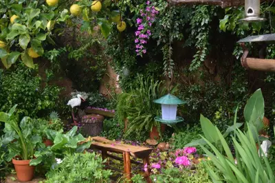 Jardín al aire libre en Hotel Casa Rural Don Álvaro de Luna