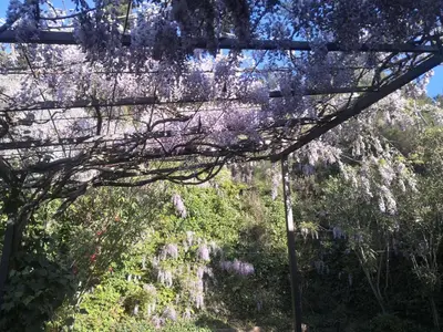 Paisaje cerca of this country house