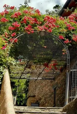 Jardín al aire libre en Alqueria De Hurdes