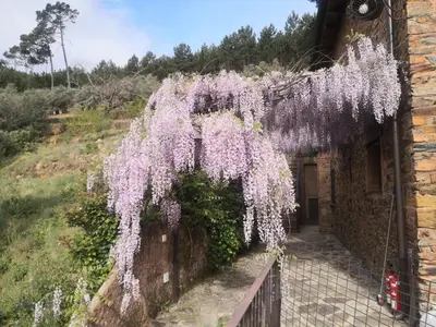 Jardín al aire libre en Alqueria De Hurdes
