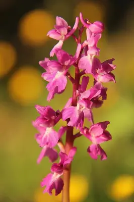 Jardín al aire libre en Casa Palacio Carvajal