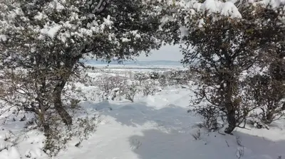 Hospederia La Serrota en invierno