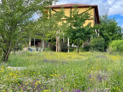 Jardín al aire libre en Hospederia La Serrota