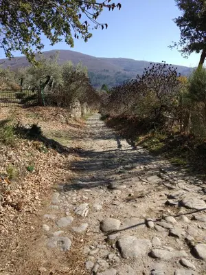 Paisaje cerca of this country house
