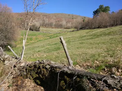 Paisaje cerca of this country house