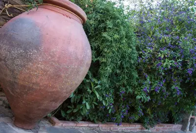 Jardín al aire libre en Casa Rural Villa Vieja