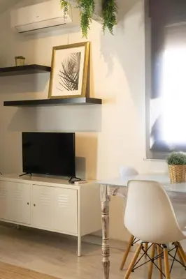 Una televisión o centro de entretenimiento en La Antigua Fonda