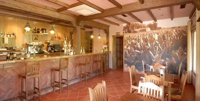 El salón o zona de bar de Hotel Rural Robles