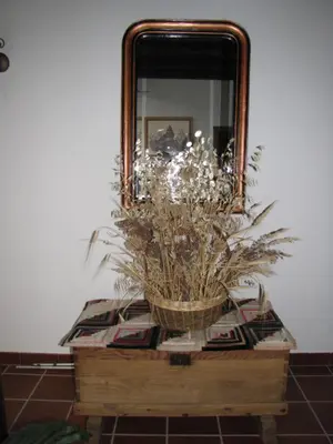 Plano de Casa Tia Emilia