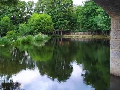 Paisaje cerca de este apartamento