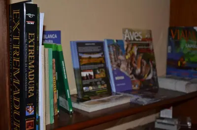 Biblioteca en el apartamento