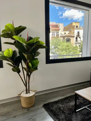 Plano de Plasencia Plaza Mayor Luxury