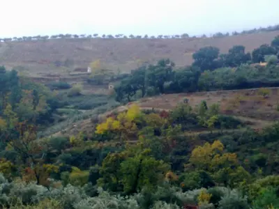 Paisaje cerca de este apartamento