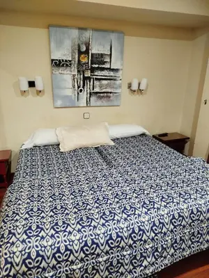 Cama o camas de una habitación en Hotel San Antonio