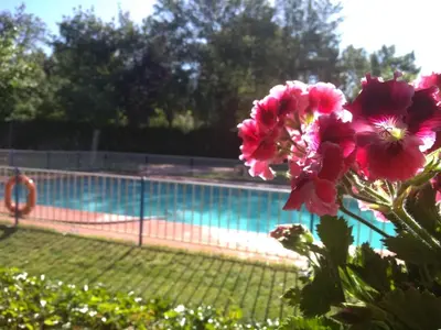 Piscina en o cerca de Camping El Pinajarro