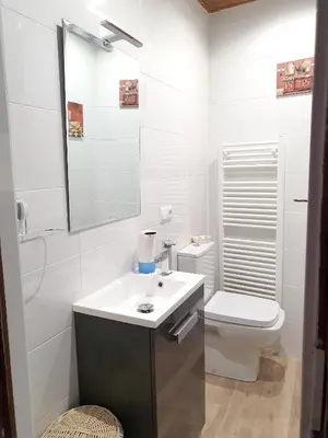 Un baño de Charming House in Pereña de la Ribera