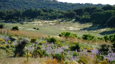 Paisaje cerca of this country house