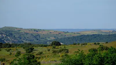 Paisaje cerca of this country house