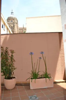 Plano de Apartamentos Suites&Homes