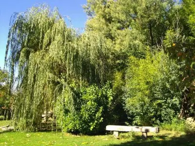 Jardín al aire libre en Hotel Posada Molino del Cubo