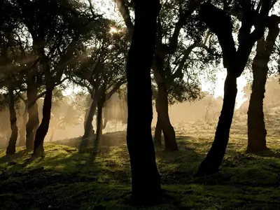 Paisaje cerca of this country house