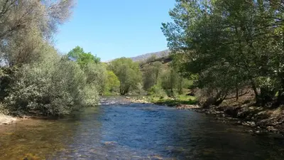 Paisaje cerca de este apartamento