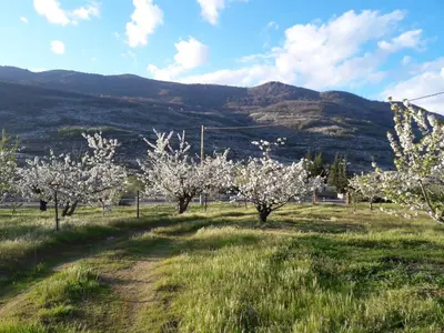 Paisaje cerca de este apartamento