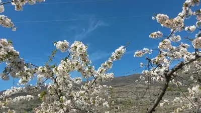 Paisaje cerca de este apartamento