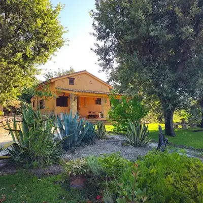 LOS TASAJILLOS