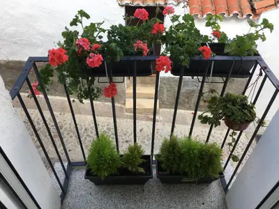 Jardín al aire libre en Apartamento Turístico Catherine