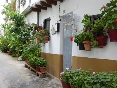 Jardín al aire libre en Casco Viejo Candeleda