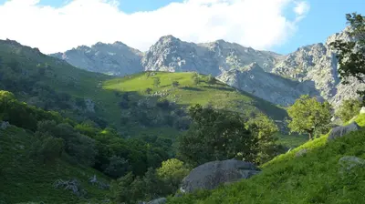 Paisaje cerca de este apartamento