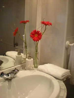 Un baño de Casco Viejo Candeleda