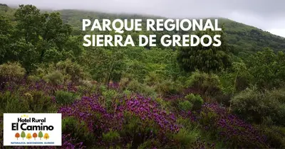 Paisaje cerca de este hotel