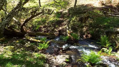 Paisaje cerca de este hotel