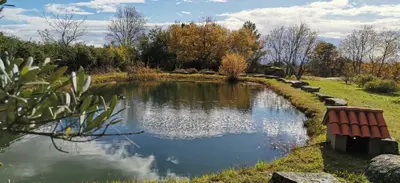 Paisaje cerca de este hotel