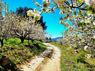 Paisaje cerca de este apartamento