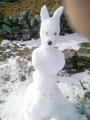 K1 SPA Rural en invierno