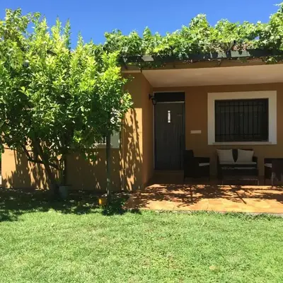 Las Olivas
