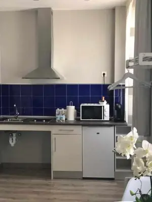 Una cocina o zona de cocina en Apartamentos Harmonía
