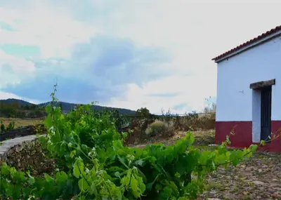 Paisaje cerca de este lodge