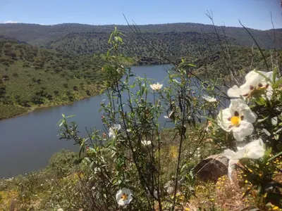 Paisaje cerca de este apartamento